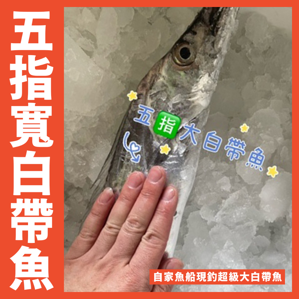 【鮮煮義美食街】基隆港現釣五🈯️寬大白帶魚