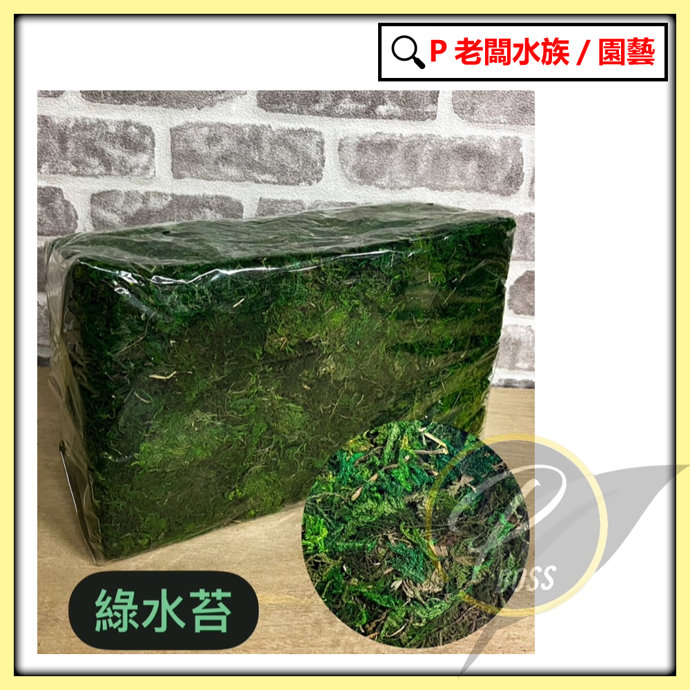 P老闆園藝~綠色水苔1公斤(綠水苔、綠水草)裝飾水苔/ 天然觀賞綠水苔