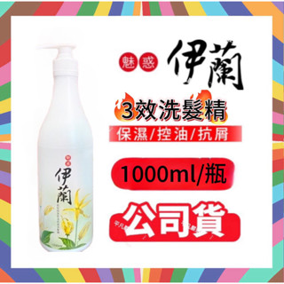 📢［平凡嚴選］MIAU 魅惑伊蘭香氛保濕控油抗屑3效洗髮精 1公升- 家庭超值組🫶 現貨秒出‼️我最便宜🤟不含矽靈