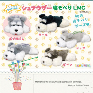 ❤Lika小舖❤全新現貨日本購入正版狗狗娃娃 趴姿雪納瑞玩偶 毛茸茸毛絨絨可愛狗狗吊飾娃娃趴趴狗布偶想睡覺狗狗