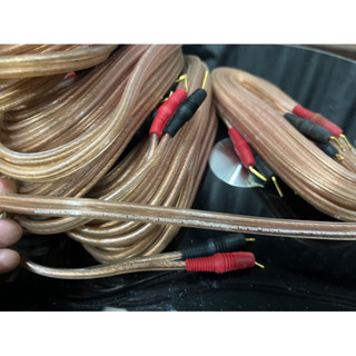 《少量現貨》Monster Cable XP美國怪獸 喇叭線 針插 升級發燒線 音響監聽喇叭鍍金音響線材