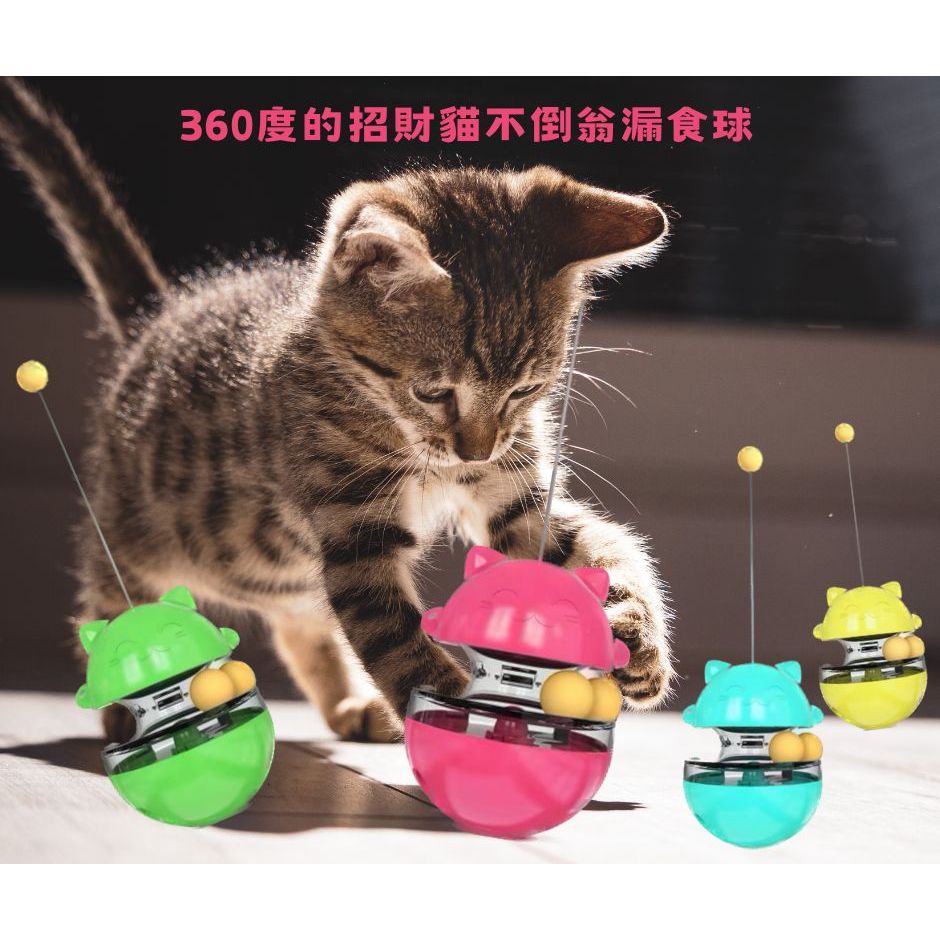 『寵物』台灣現貨 寵物玩具 不倒翁漏食球 漏食器 貓咪轉盤玩具 益智慢食玩具 寵物漏食玩具 貓咪用品