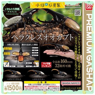 小仔的玩具窩★日版GASHAPON「現貨」 BANDAI 扭蛋版 生物大圖鑑 赫克力士長戟大兜蟲 可動 生態大圖鑑 長戟