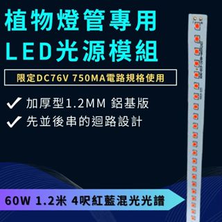 【君沛植物燈】led模組光源 60W 4呎紅藍混光 植物燈管專用 光源模組 限定DC76V 750ma電路規格使用