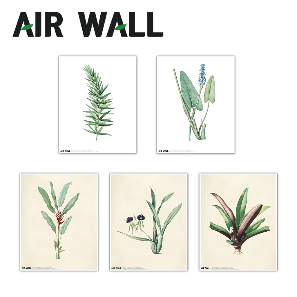 【 韓國 AIRTEC】 Air Wall Air Fresh 壁貼 海報 - 植物款