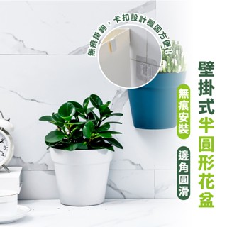 嘉義出貨 {臺灣收納王} 壁掛式塑膠盆栽花器 植物花盆 墻壁陽臺室內牆上盆景 半圓形小花盆 水培花盆
