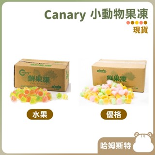 【哈姆斯特】Canary 小動物除臭果凍 水果風味/優格水果🧡 倉鼠零食 倉鼠點心 黃金鼠 三線鼠 分裝 小動物