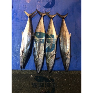 【澎湖海王】⭐️澎湖野生土魠魚季節限定 整尾 【澎湖現撈新鮮魚貨】，下單前先聊聊喔！