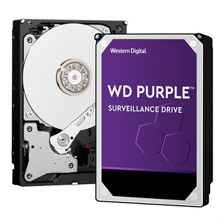 WD Purple 紫標監控專用硬碟 紫標硬碟 紫標 8TB/10TB/12TB/14TB/18TB/22TB
