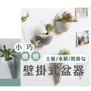 [贈掛鉤] 壁掛式盆栽 盆栽 迷你掛盆掛式花盆 水耕盆 多肉盆栽 迷你花盆 辦公室盆栽 廁所盆栽 花器 可掛式盆栽 小盆