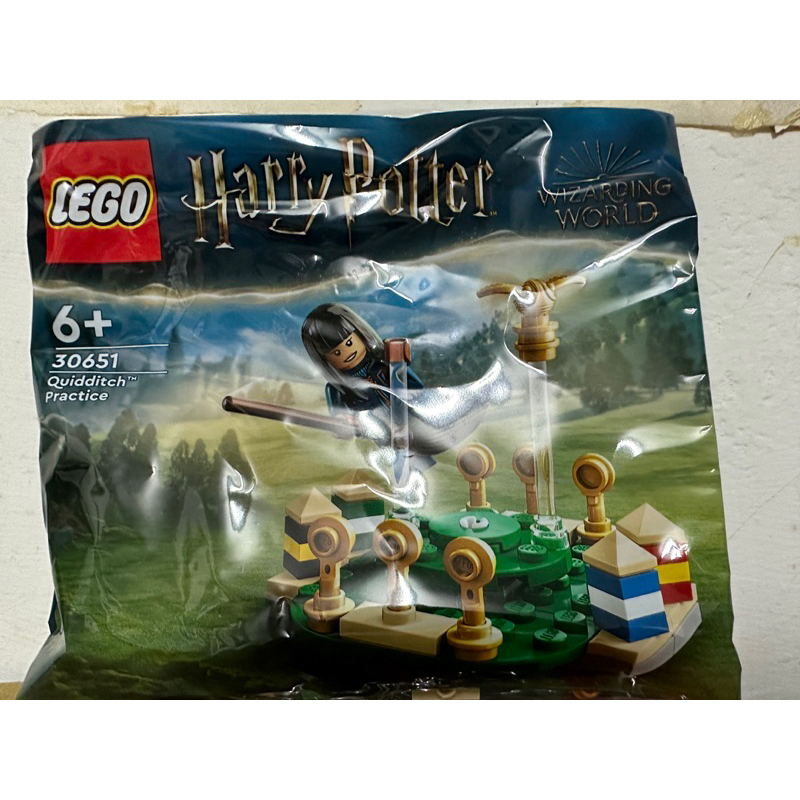 LEGO 樂高 哈利波特系列 30651 Quidditch Practice 魁地奇