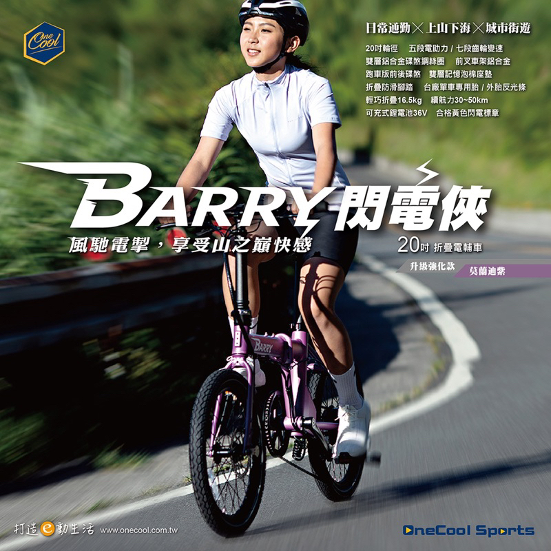 巨鷹Giant  Eagle ONECOOL BARRY 閃電俠 E-BIKE 電動輔助自行車 合格閃電標章