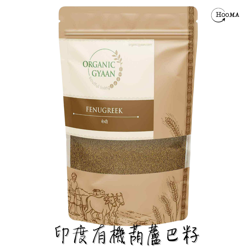 蓋亞 印度阿育吠陀 有機品牌Organic Gyaan 有機葫蘆巴籽 Fenugreek Seed