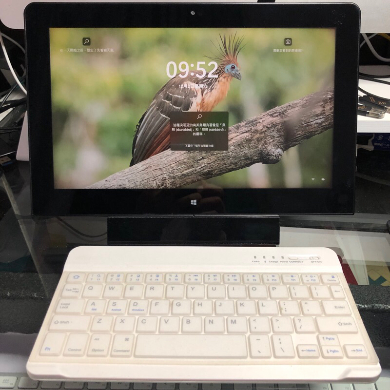 出清商品IPS高清屏NEC VERSAPRO 11.6吋可插卡上網 二合一桌機+平板筆電（win11）