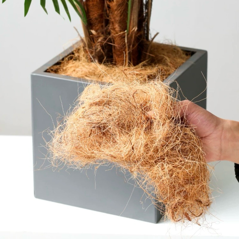 天然椰絲椰子絲 1700g椰纖 鋪面裝飾 花盆鋪面 椰子纖維 防止土壤流失 椰纖絲 花盆鋪底