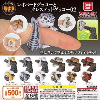 【盧卡斯偷椅子】現貨 正版 BANDAI 萬代 指尖生物 豹紋壁虎篇 P2 第二彈 壁虎 爬蟲類 扭蛋 轉蛋