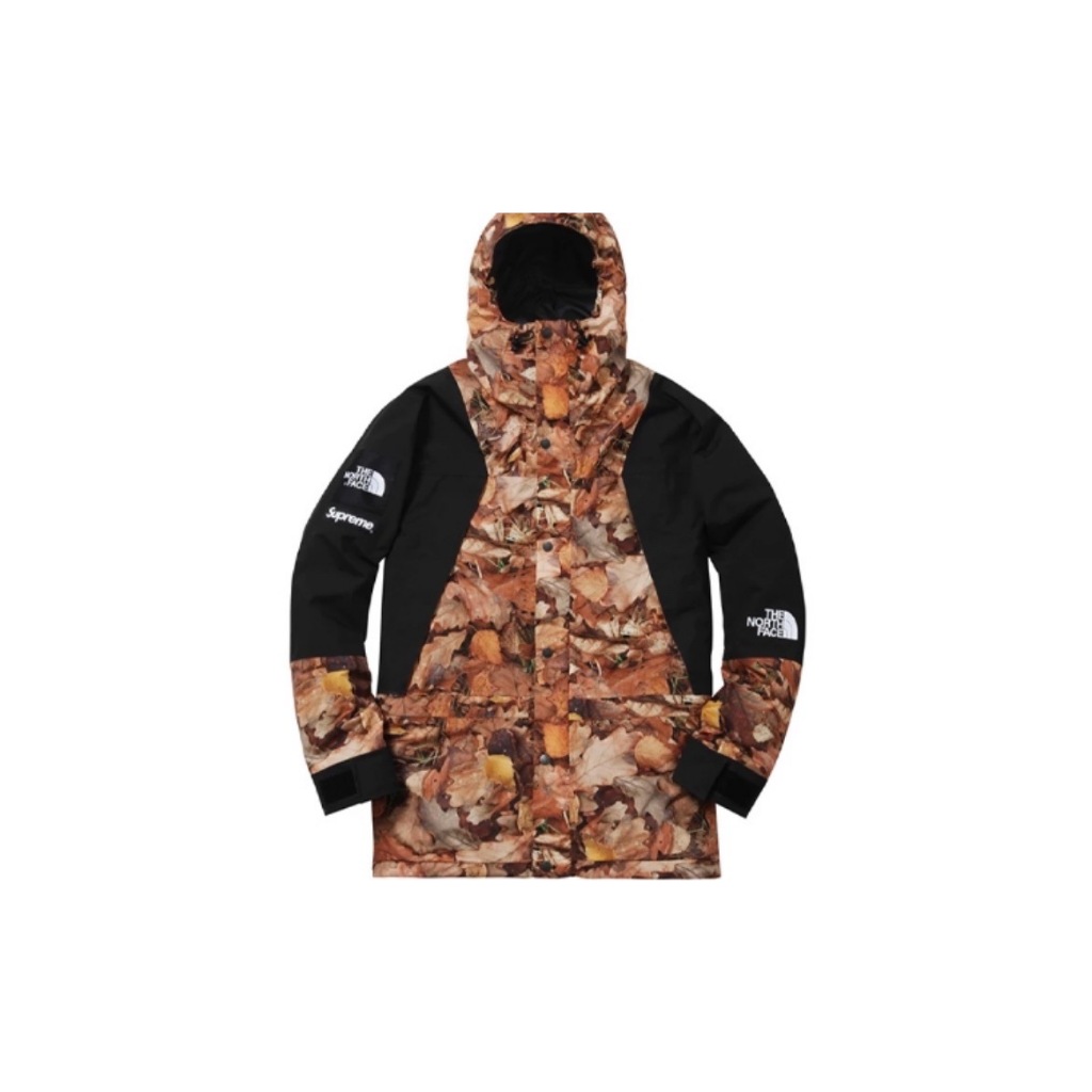 【ToMo】SUPREME THE NORTH FACE MOUNTAIN PARKA 雪山衝鋒外套 TNF聯名