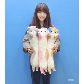 長條貓咪造型枕 可愛貓咪午安枕 貓咪長條娃娃 貓咪長條枕 貓咪抱枕 趴姿貓咪 立身貓咪娃娃