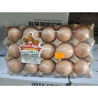 台灣出貨📦假雞蛋 仿真雞蛋 雞蛋模型 假蛋 塑膠雞蛋 彩繪雞蛋 整人雞蛋 復活節彩蛋 diy 雞蛋殼 早教玩具