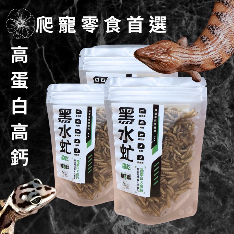 【TaoGeckos淘守宮】黑水虻蟲乾 黑水虻 蟲乾 餌料 零食 蜜袋鼯 刺蝟 蜥蜴 守宮 澤龜 狐朦