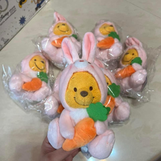 日本迪士尼商店2023兔年維尼娃娃S號/日本/日本代購