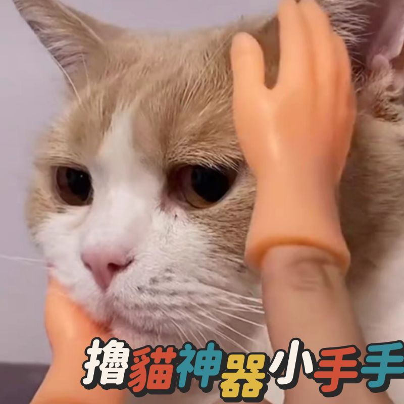 【撸貓小手手】✌️可撸貓可拍照搞怪拍照神器 迷因meme 惡搞梗圖表情包 剪刀石頭布 逗趣搞笑網紅貓貓 中指比耶拳頭