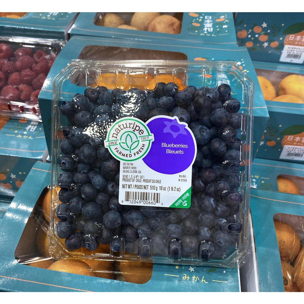 台中市 好市多 24H及時送 (開發票統編)  空運智利藍莓 生鮮藍莓 冷藏藍莓 藍莓 510公克