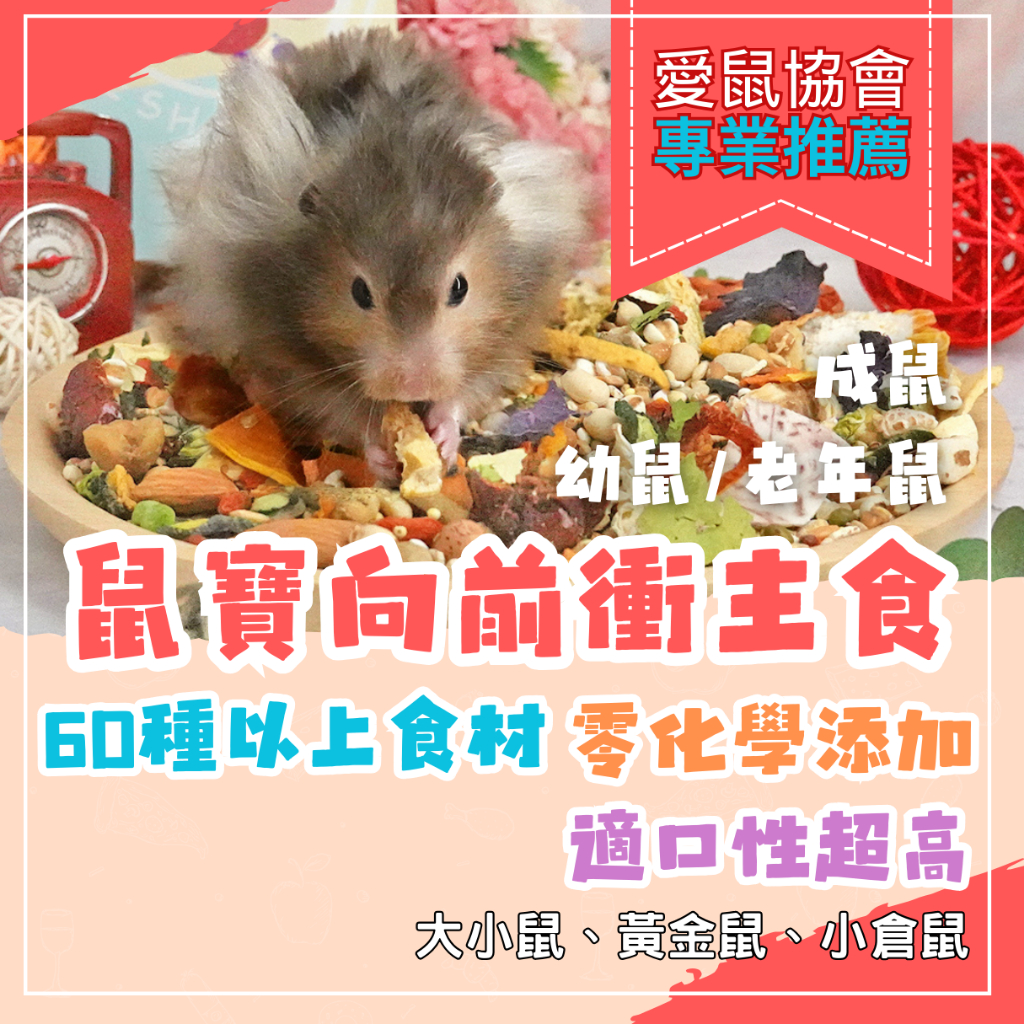 愛鼠協會 [新鮮出爐] 鼠寶向前衝鼠食 鼠衝特調 倉鼠飼料 老年鼠飼料 幼鼠飼料 倉鼠 鼠糧 鼠食物 老鼠糧食 老鼠飼料