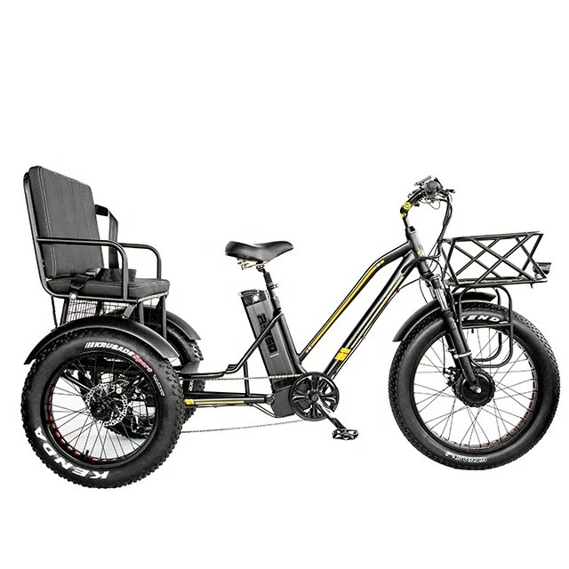 20-24" 胖胎人力車電動三輪車 48V 750W 21AH 50KM/H OEM 客製化三輪車 CE 3 輪成人電動