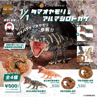 ❖貓大爺玩具❖現貨 SO-TA 1比1玉尾守宮與犰狳蜥 轉蛋 扭蛋 全套4款 守宮 犰狳蜥