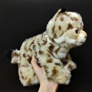 【那間模型】 精緻 模擬 猞猁 娃娃 玩偶 公仔 大貓 娃娃 絨毛玩具 貓 獰貓 藪貓 模型