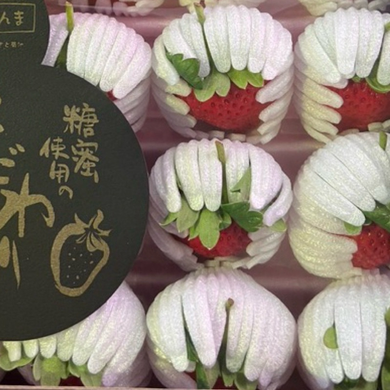 【日本原裝空運 熊本菊池糖蜜草莓】產季結束24-32入隨機出貨香味濃郁 口感紮實 屬高甜度草莓 我們有貨 歡迎預購