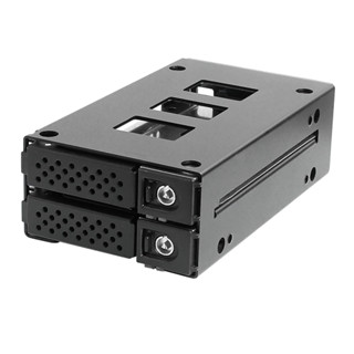小白的生活工場*ELS N-29SS 2.5吋 SATA/SAS企業級2bay 硬碟多層模組(2分之一5.25吋)