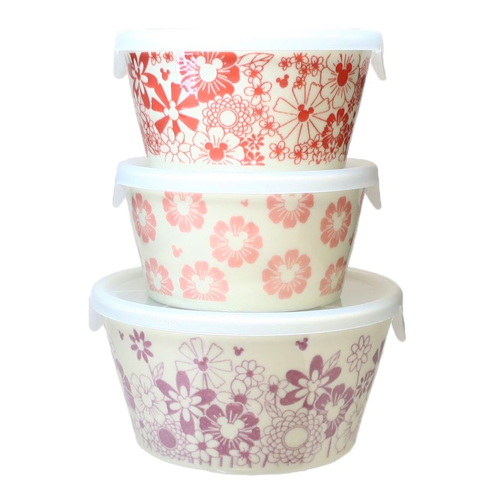 三鄉陶器 SANGO 日本製 迪士尼 微波用陶瓷碗二件組 春暖花開 (1中2小碗) NT29301