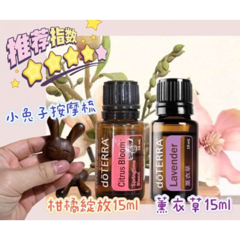 多特瑞 薰衣草&柑橘綻放&小兔子按摩梳
