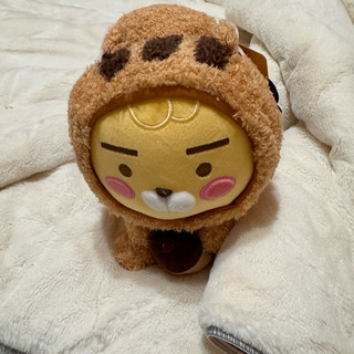 kakao friends ryan little friends 娃娃 抱枕 禮物 autumn story秋天限定