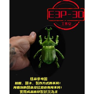 模型雕像系列 牆上的 甲蟲 獨角仙 犀牛 壁飾 雕像 🎁3D客製 療癒 擺飾 造景 模型 禮物 臺灣製造 臺灣出貨