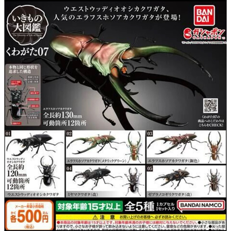 《老莫の店》日版 BANDAI GASHAPON 生物大圖鑑 鍬形蟲、甲蟲扭蛋模型