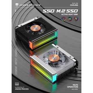 【C艾酷 現貨】叢林豹 M.2固態硬碟 散熱器 5V ARGB ssd 散熱片 SSD2280盔甲nvme散熱馬甲