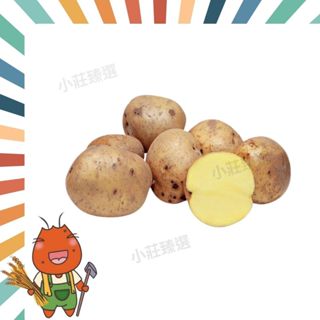 【野菜匠人】台灣馬鈴薯(250g~300g/顆) 本產馬鈴薯 雲林斗南 咖哩 雞肉 燉湯
