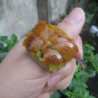Coco緬甸玉 寬版招財黃翡色蝴蝶戒指 國際戒圍18號 內徑2.00cm 翡翠a貨附証書 現貨在臺北市