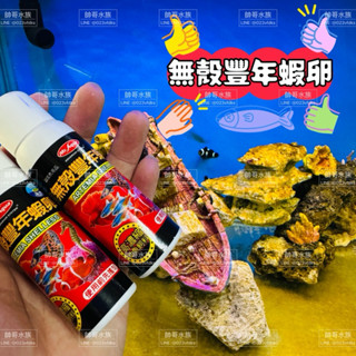 帥哥水族【MR.AQUA 水族先生】高濃縮無殼豐年蝦卵 70ml 豐年蝦卵 豐年蝦 魚飼料 U-MR-006