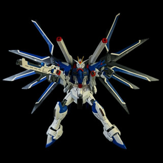 ［需預約］（完成品）BANDAI HG 1/144 鋼彈 SEED FREEDOM 劇場版 振揚 自由 鋼彈 振揚自由