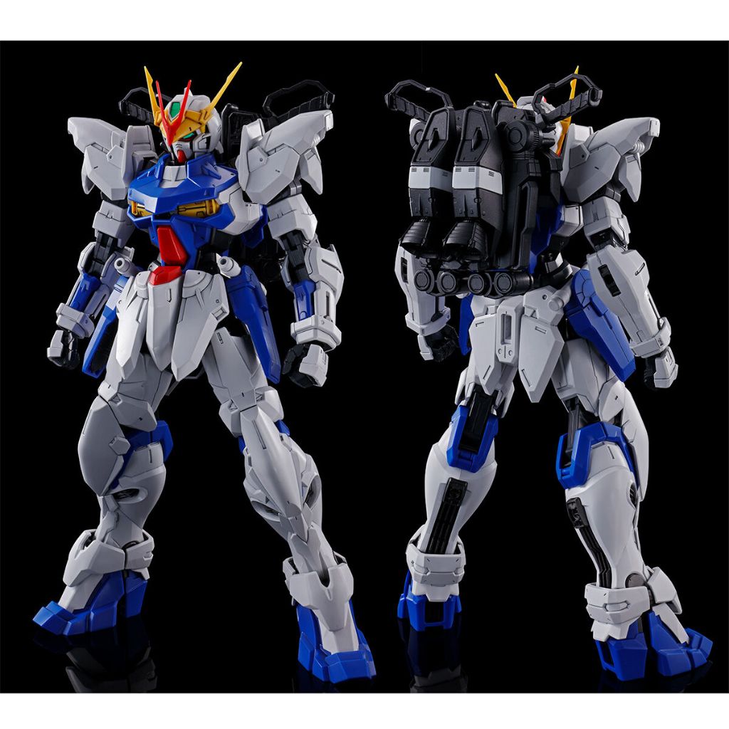 萬代 BANDAI PB限定 MG 1/100 異端鋼彈 非規格機 ASTRAY OUT FRAME D