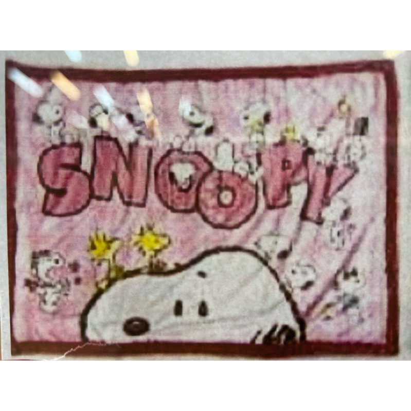 全新日本進口正版Snoopy史努比毛毯空調毯膝上毯棉被毯子