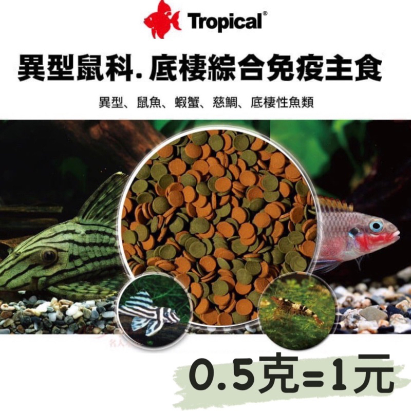 0.5克1元 TROPICAL 德比克 底棲飼料 異型 鼠魚 蝦蟹 魚飼料 蝦飼料 增豔 觀賞魚 底棲 米蝦 沉底 螯蝦