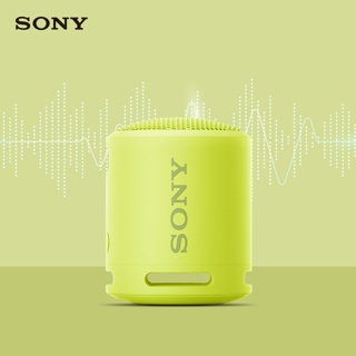 [龍龍3C] 索尼 Sony 防水 藍牙 喇叭 揚聲器 SRS-XB13 XB13