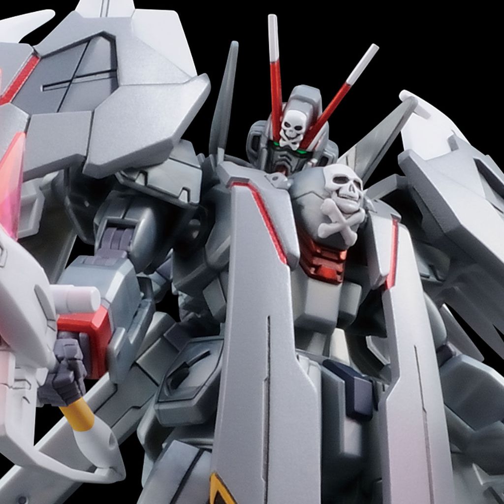 PB限定 HG 海盜 鋼彈 X-0 模型 (全新品) CROSSBONE GUNDAM X-0 骨鋼 X0