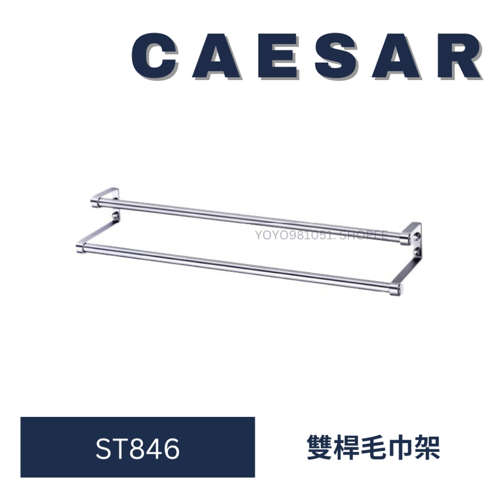 caesar 凱撒 ST846 雙桿毛巾架 毛巾架 浴室毛巾架 廁所毛巾架 浴室配件 衛浴設備 不銹鋼 珍珠鎳