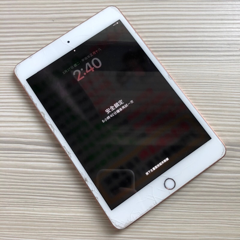 iPad mini 5 64gb 零件機